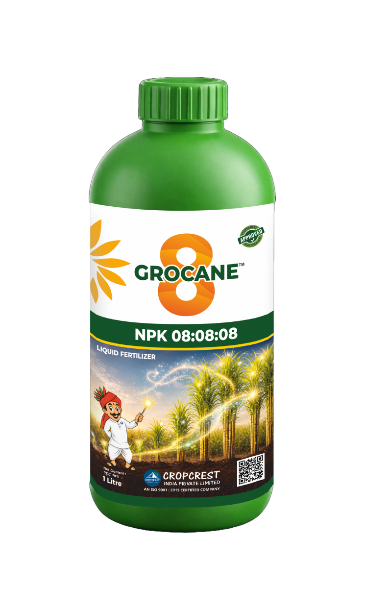 Grocane 8