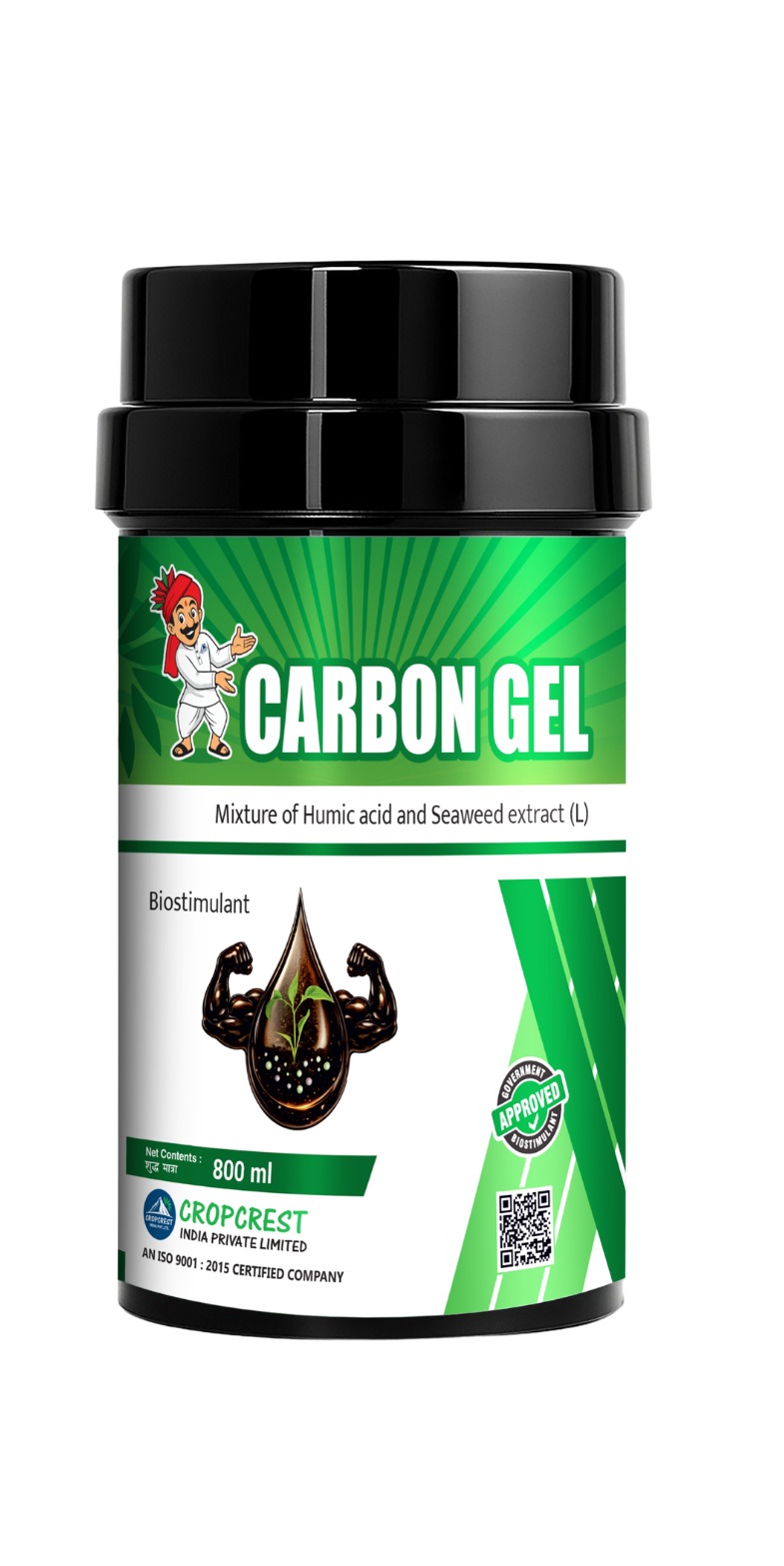 CARBON GEL