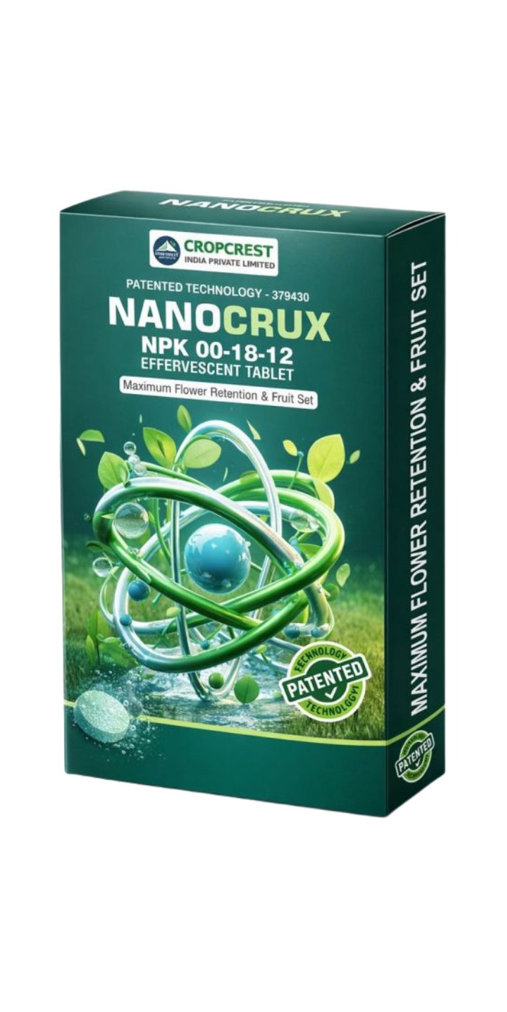 NanoCrux 00:18:12 Effervescent tablet