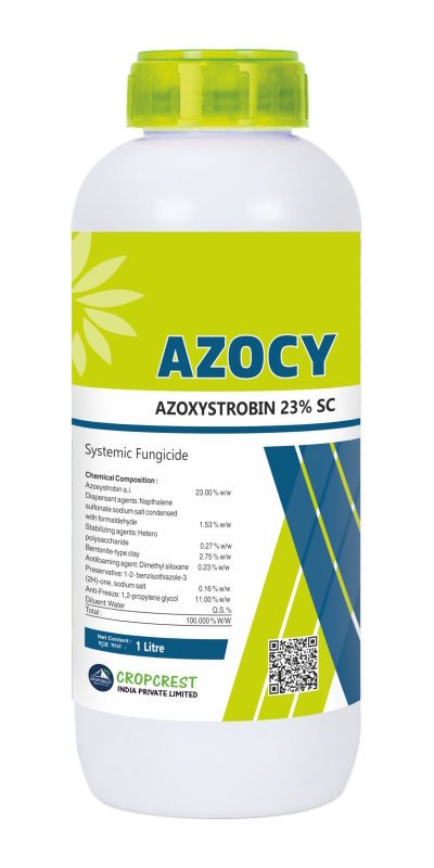 Azocy