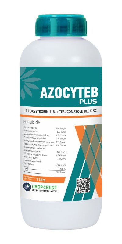 Azocyteb Plus