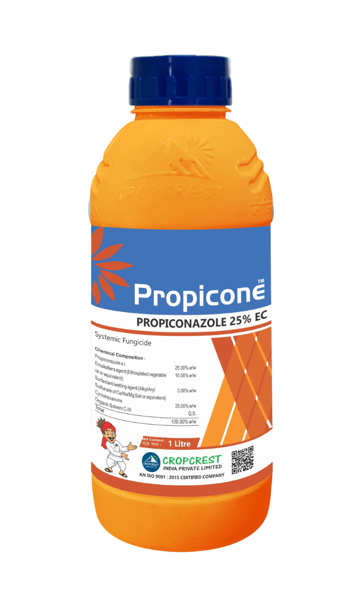 Propicone