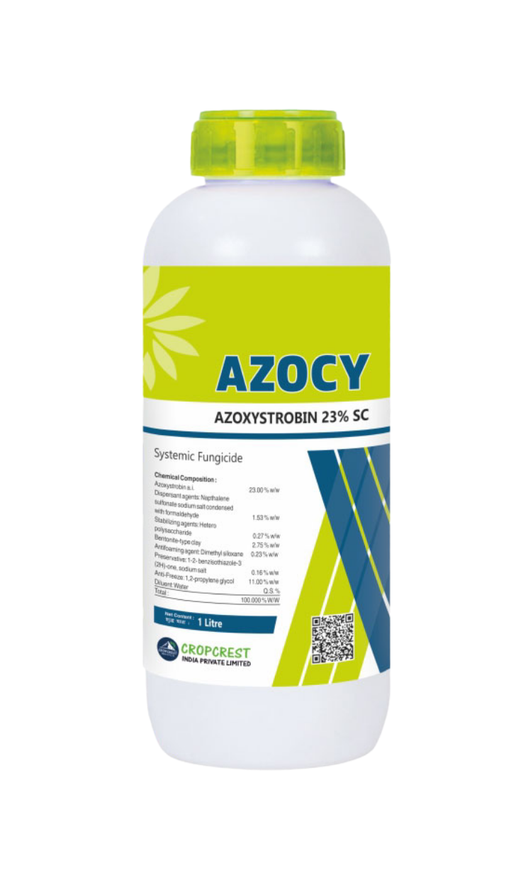 Azocy