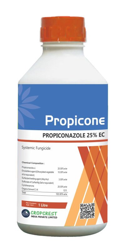 Propicone