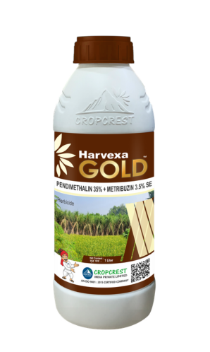 Harvexa Gold