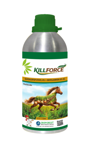 Killforce