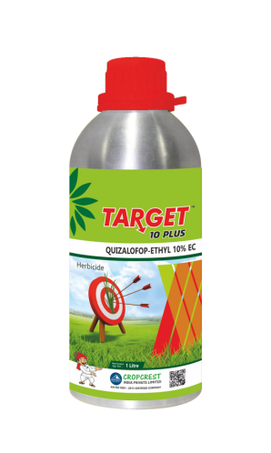 Target 10 Plus