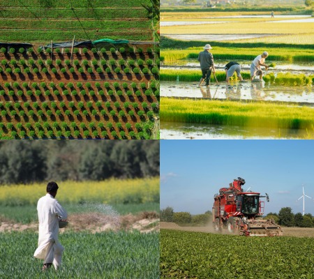 Maximizing Crop Productivity