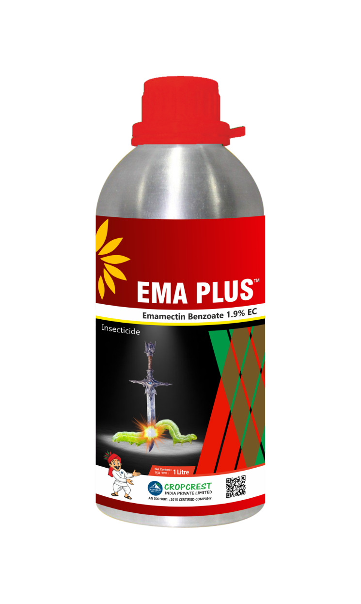 Ema Plus