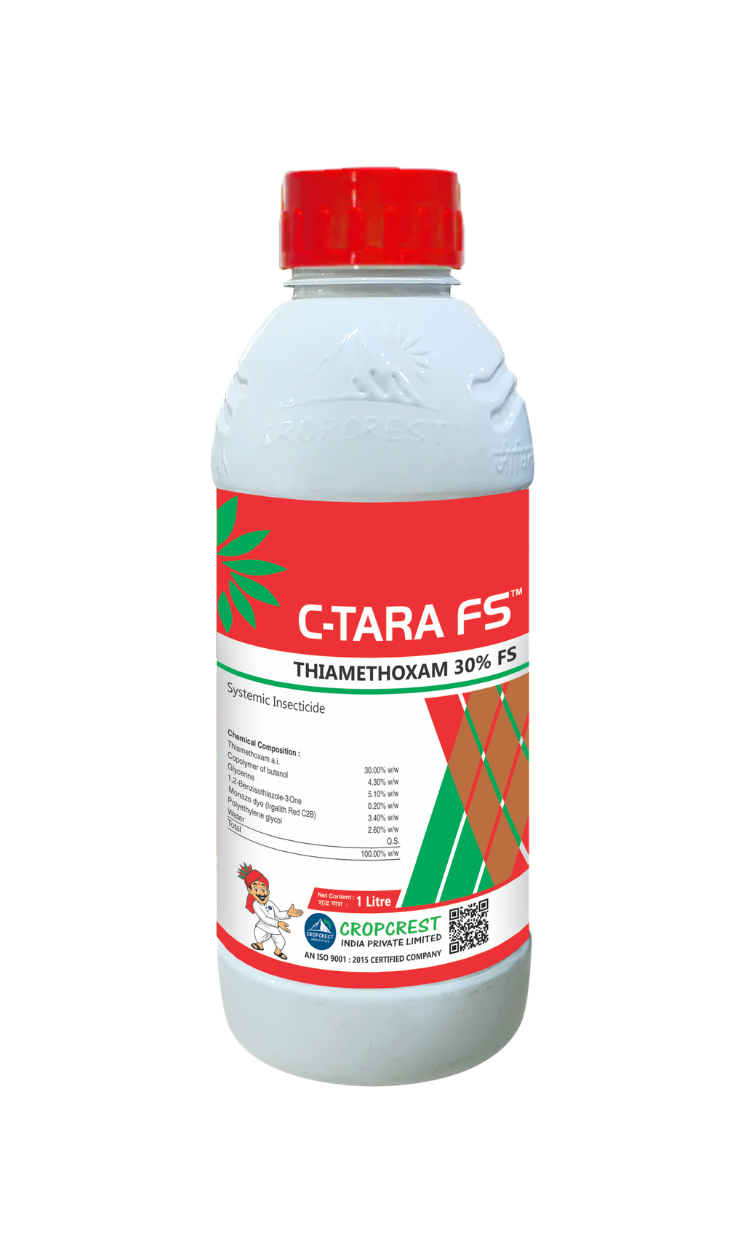 C-Tara FS