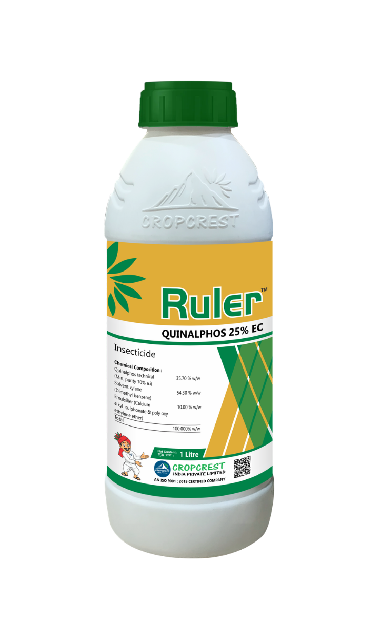 Ruler