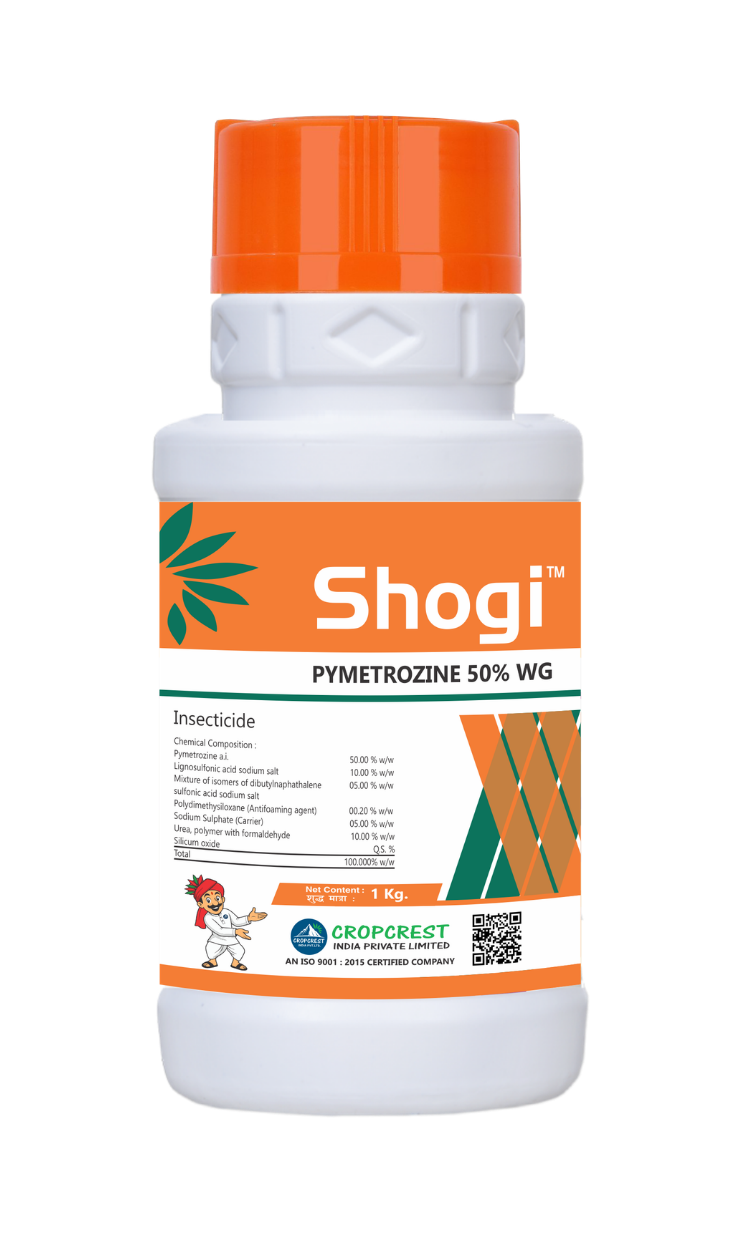 Shogi