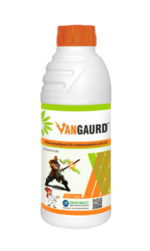 Vangaurd