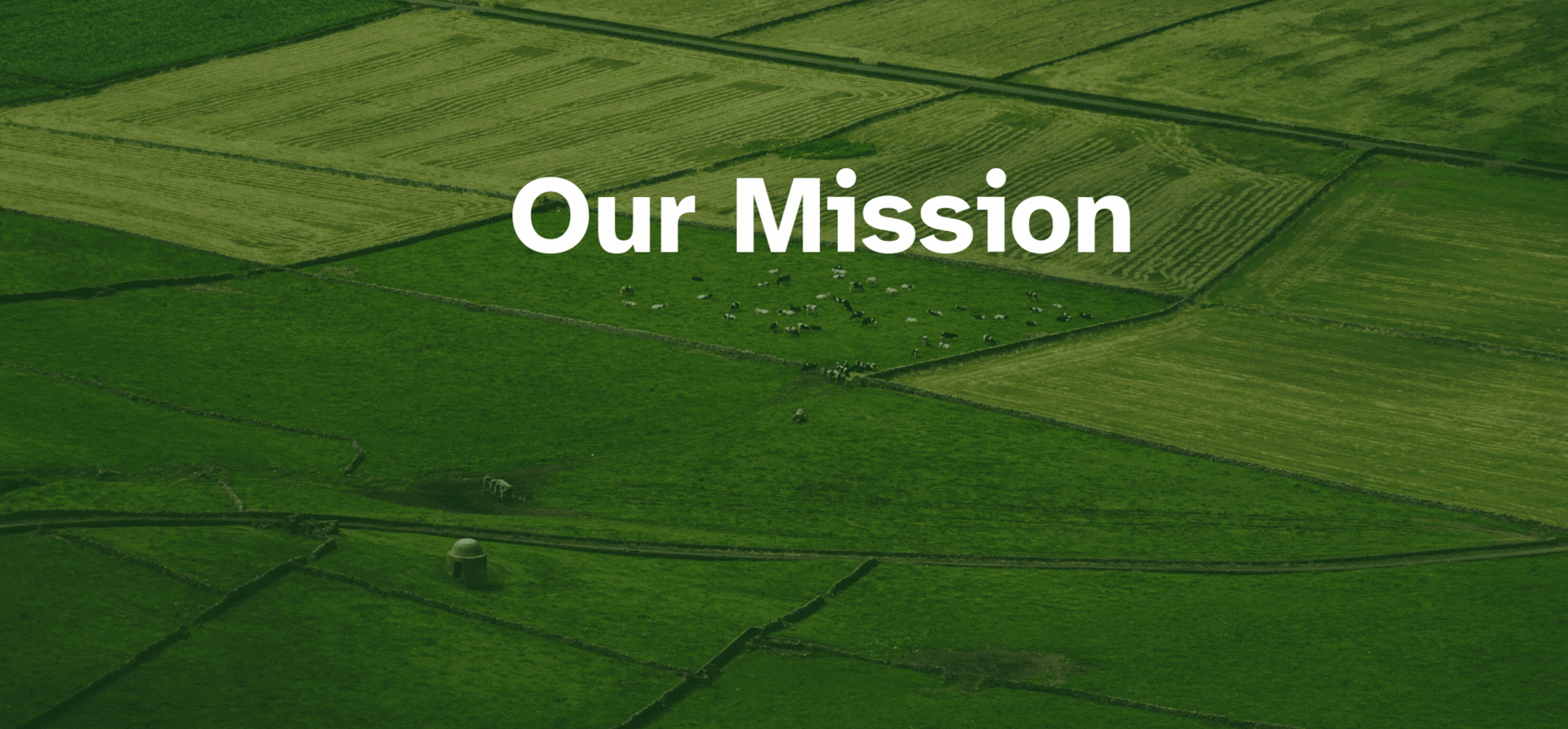 Description of your image