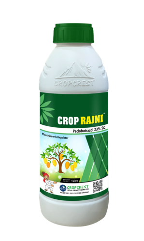 Crop Rajni