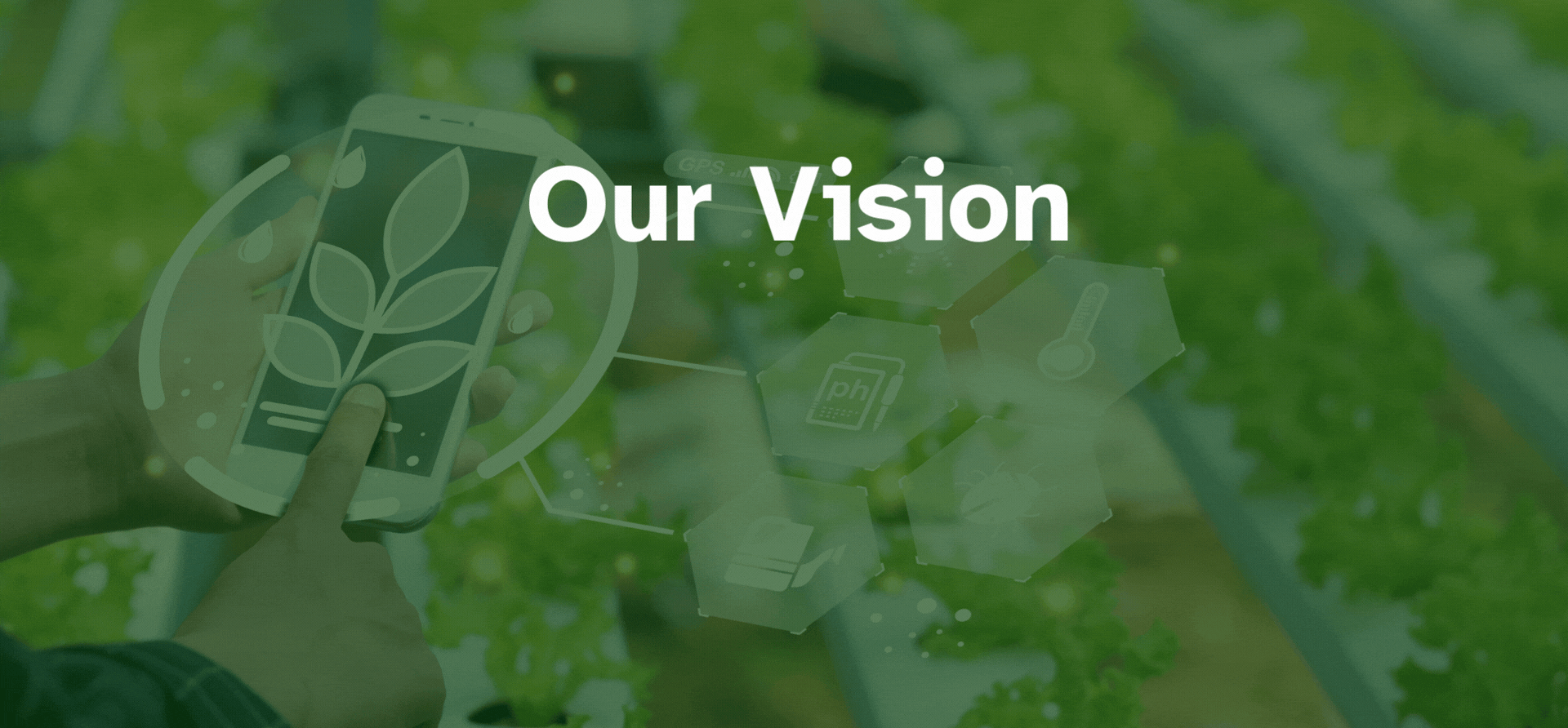 Description of your image